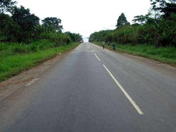 The Wise Man Who Lacks Common Sense And Road Sense